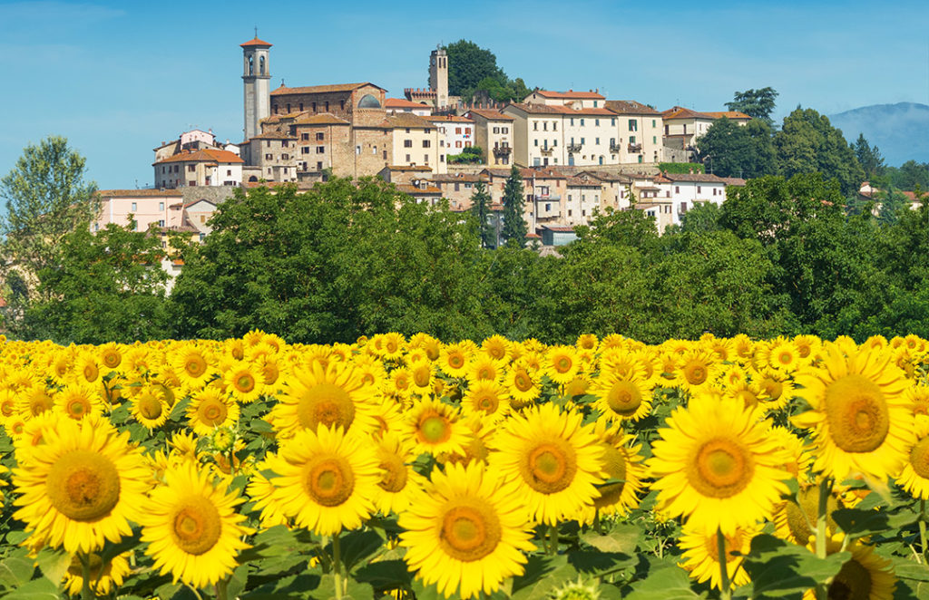 Monterchi